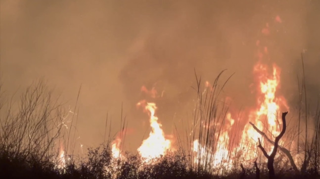 Osmaniye Kastabala Kuş Cenneti’nde çıkan yangına ekiplerin müdahalesi sürüyor