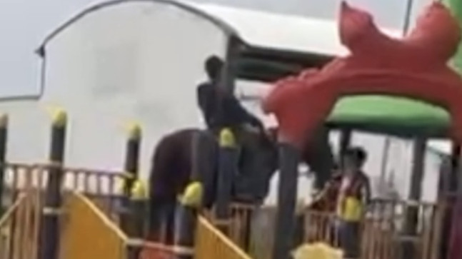 ADANA’DA İLGİNÇ ANLAR: BİR ÇOCUK AT ÜSTÜNDE OYUN PARKINA GİTTİ!