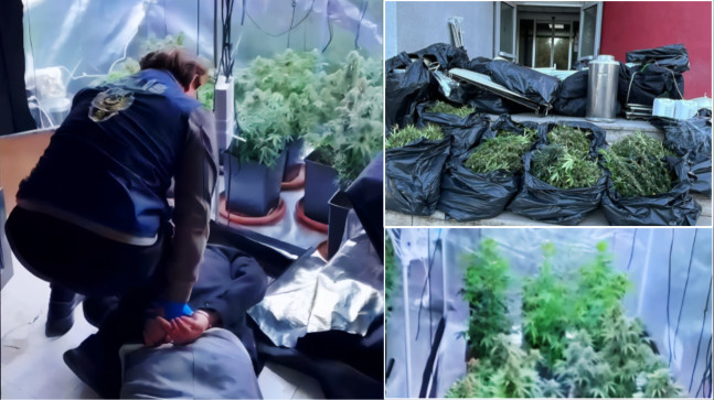 ADANA’DA EVİNDE İKLİMLENDİRME SİSTEMİYLE KENEVİR YETİŞTİREN ZANLI YAKALANDI