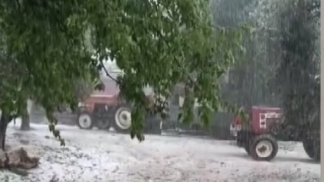 Kozan’da etkili olan dolu nedeniyle bazı tarım arazilerinde zarar oluştu