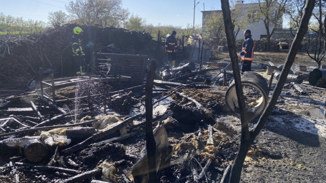 Mersin’de yangın çıkan ahırdaki 21 hayvan telef oldu