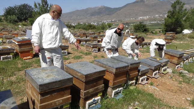 Mersin’de arıcılar sezonun ilk polen hasadını yaptı