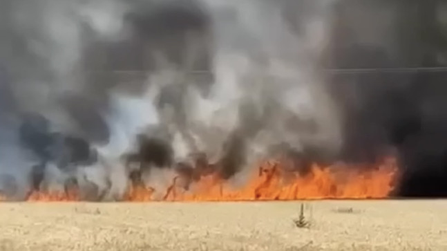 Osmaniye’de çıkan yangında 20 dönümlük buğday tarlası zarar gördü