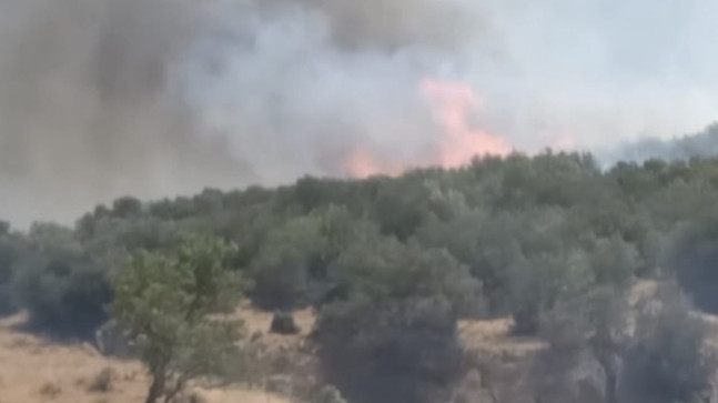Gaziantep’te çıkan orman yangınında 5 hektar alan zarar gördü