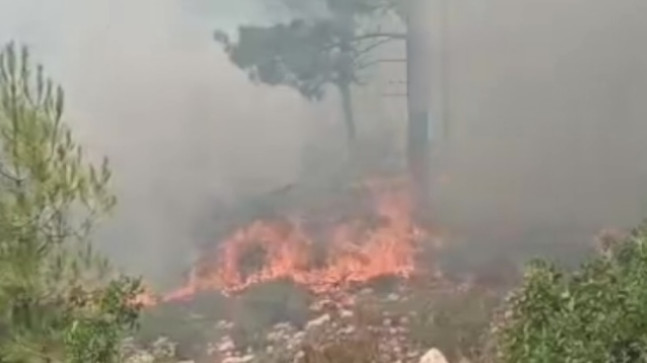 Mersin’de çıkan orman yangını kontrol altına alındı