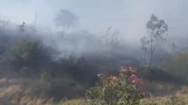 Adana’da makilikte başlayıp ormanlık alana sıçrayan yangın kontrol altına alındı
