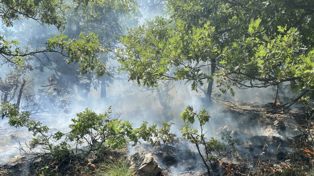 Osmaniye’de çıkan orman yangını kontrol altına alındı