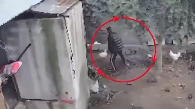 OSMANİYE’DE KÜMESLERDEN TAVUK ÇALAN ZANLI YAKALANDI…