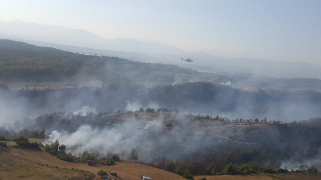 ADANA’DA BU SEFERDE MERKEZ SARIÇAM İLÇESİNDE ORMAN YANGINI ÇIKTI