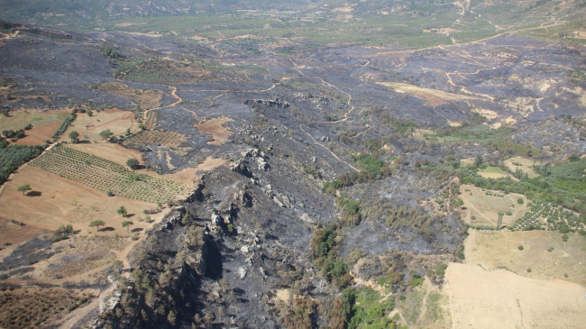 MERSİN’DE ORMAN YANGININDAN ETKİLENEN ALANLAR HAVADAN GÖRÜNTÜLENDİ