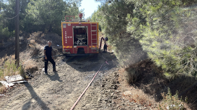 HATAY’DA ÇIKAN ORMAN YANGINI KONTROL ALTINA ALINARAK SÖNDÜRÜLDÜ
