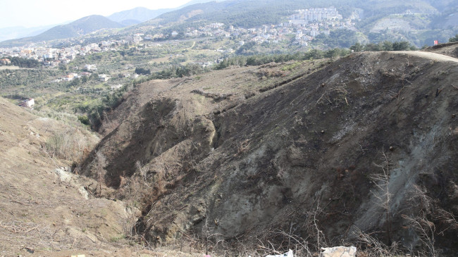 HATAY’DA GEÇEN YIL YANAN 663 HEKTAR ORMANA 6 TON KIZILÇAM TOHUMU EKİLDİ