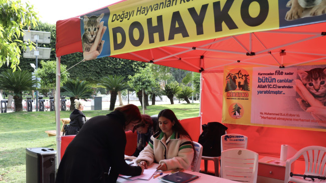 ADANA’DA SAHİPSİZ HAYVANLARIN KISIRLAŞTIRILMASI İÇİN İMZA KAMPANYASI BAŞLATILDI