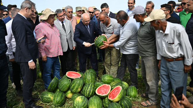 Adana’da sezonun ilk karpuz hasadı yapıldı