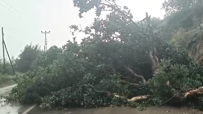Adana’nın Kozan ve Pozantı ilçelerinde sağanak etkili oldu