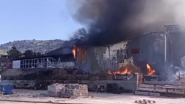 Adana’da narenciye paketleme tesisinde yangın çıktı