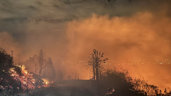 ADANA’NIN SARIÇAM İLÇESİ BAYRAM HACILI MAHALLESİNDE ÇIKAN ORMAN YANGININA MÜDAHALE EDİLİYOR