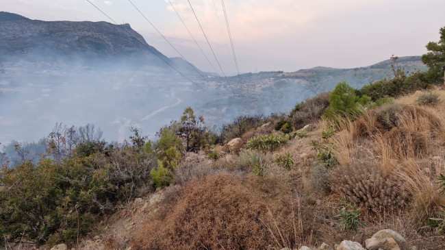Mersin’de çıkan orman yangını kontrol altına alındı