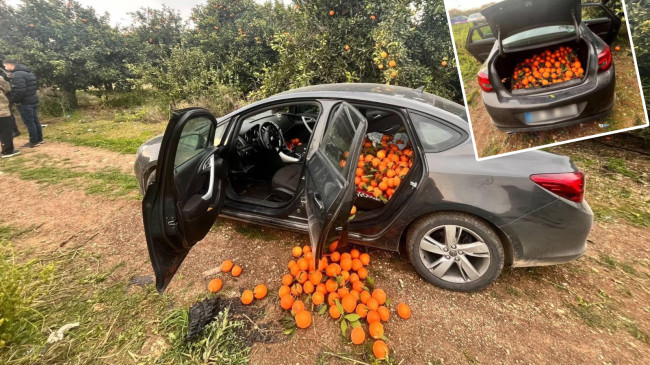 Mersin’de bahçeden 500 kilogram portakal çalan zanlı suçüstü yakalandı