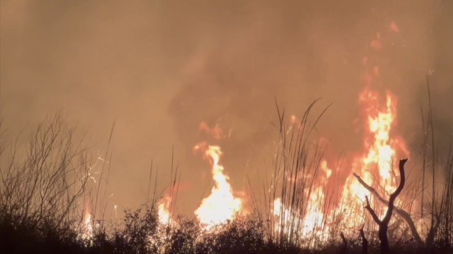 Osmaniye Kastabala Kuş Cenneti’nde çıkan yangına ekiplerin müdahalesi sürüyor