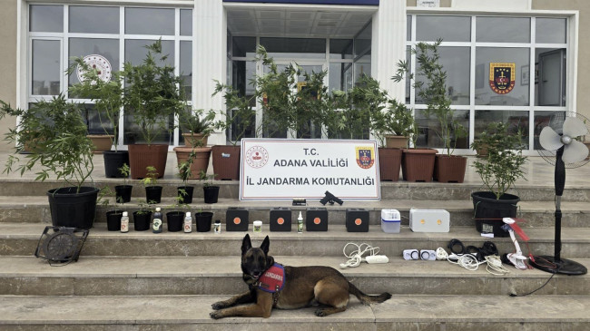 Adana’da evlerinde iklimlendirme sistemiyle kenevir yetiştiren 4 şüpheli yakalandı