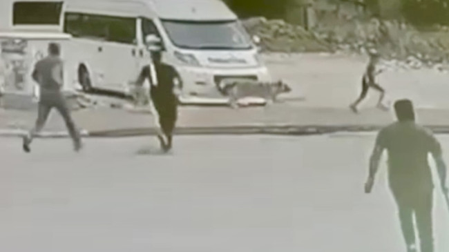 Adana’da sahipsiz köpeklerin saldırdığı 2 çocuk esnafın yardımıyla kurtarıldı