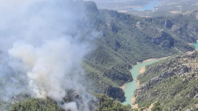 Adana’da ormanlık alanda yangın çıktı