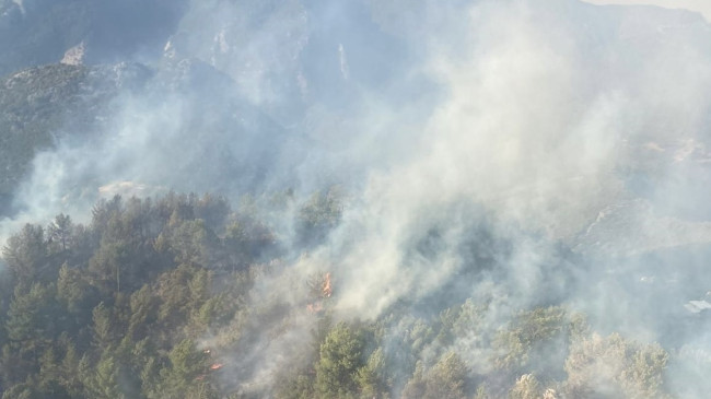 Mersin’de çıkan orman yangını kontrol altına alındı