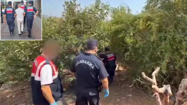 Mersin’de bahçesinde 1580 kök Hint keneviri Hint keneviri yetiştiren zanlı yakalandı