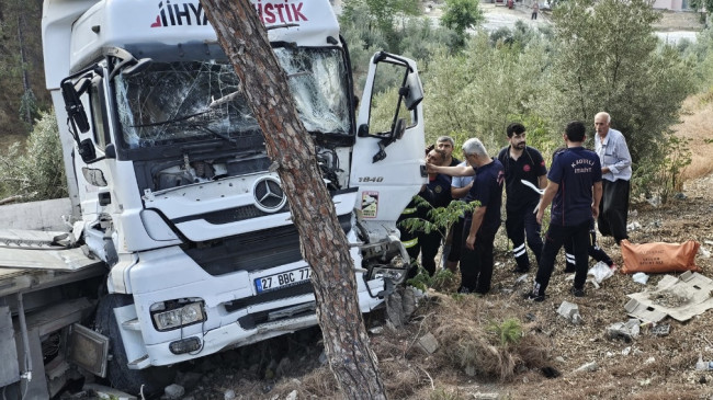 Osmaniye’de yoldan çıkıp ağaca çarpan tırın sürücüsü yaralandı