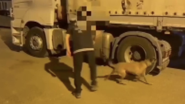 Gaziantep’te arama yapılan bir tırda 3 kilo 20 gram kokain ele geçirildi