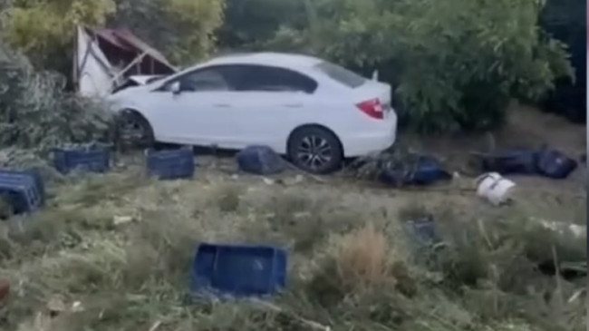 Mersin’de otomobilin zeytin toplayan işçilere çarptığı kazada ölü sayısı 2’ye çıktı