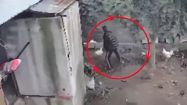 OSMANİYE’DE KÜMESLERDEN TAVUK ÇALAN ZANLI YAKALANDI…