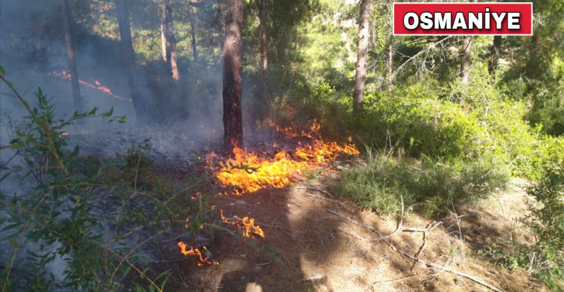 OSMANİYE’DE ÇIKAN ORMAN YANGINI KONTROL ALTINA ALINDI