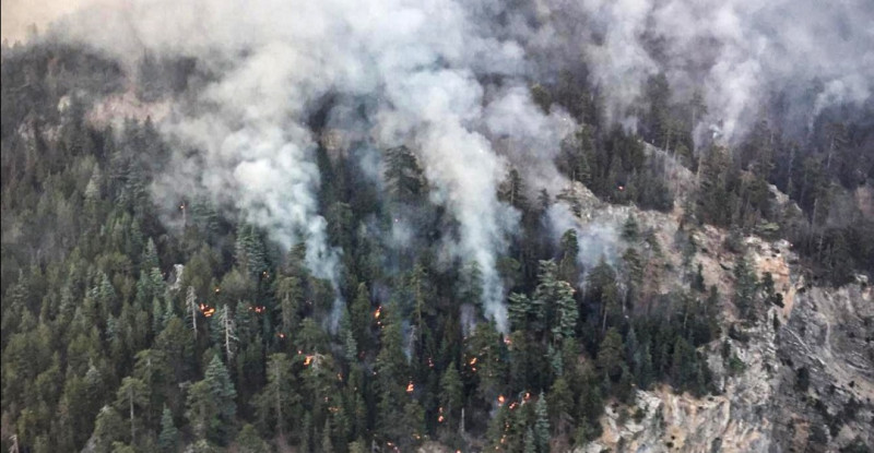 MERSİN’DEKİ ORMAN YANGININA HAVADAN MUDAHALE SABAH SAATLERİNDE YENİDEN BAŞLATILDI.