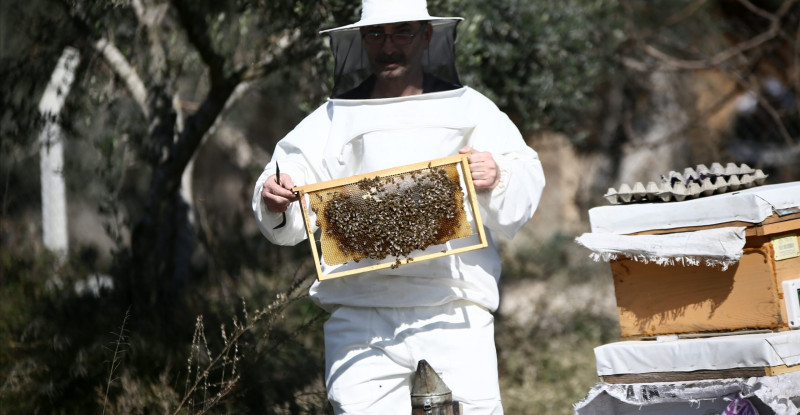 TÜRKİYE’DE BAL ÜRETİMİNDE İLK SIRADA YER ALAN ADANA’DA ARICILAR İÇİN GELİŞTİRİLEN PROJELER, KOVAN  SAYISININ 491 BİN 958’E, REKOLTENİN DE 12 BİN 527 TONA ÇIKMASI SAĞLANDI
