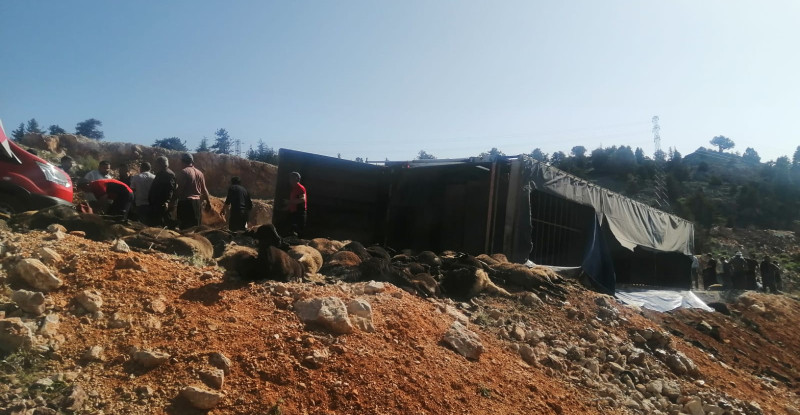 MERSİN’DE TIRIN DEVRİLMESİ SONUCU 60 KÜÇÜKBAŞ HAYVAN TELEF OLDU