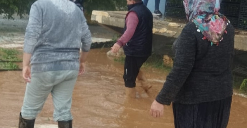 MERSİN’DE SAĞANAK TARIM ALANLARINDA HASARA NEDEN OLDU