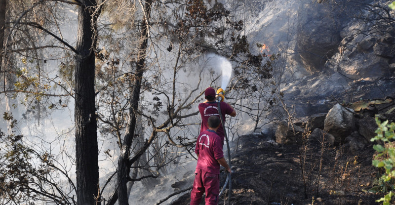 MERSİN’DE MEYVE BAHÇESİNDE BAŞLAYAN YANGIN ORMANA SIÇRADI