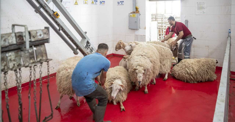 MERSİN BÜYÜKŞEHİRBELEDİYESİ KURBAN BAYRAMI DOLAYISIYLA ŞEHİTLER İÇİN KURBAN KESTİ