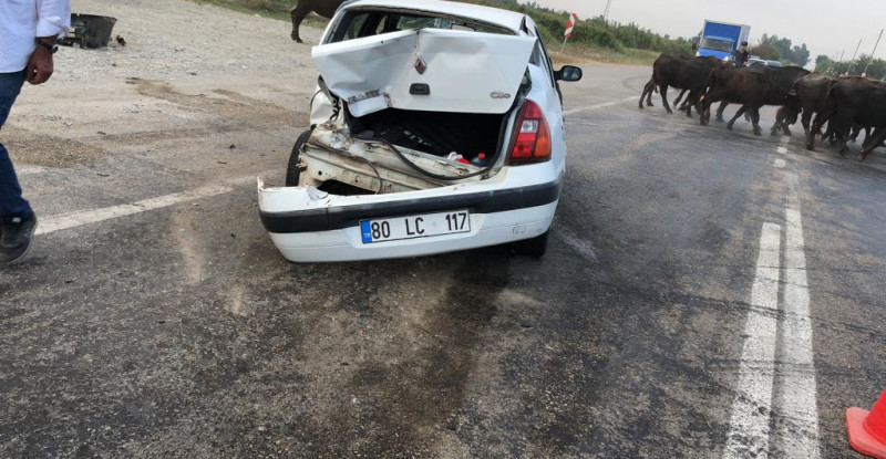 ADANA’NIN KOZAN İLÇESİNDE, OTOMOBİLİN PARK HALİNDEKİ TIRA ÇARPMASI SONUCU 1 KİŞİ HAYATINI KAYBETTİ, 1 KİŞİ YARALANDI