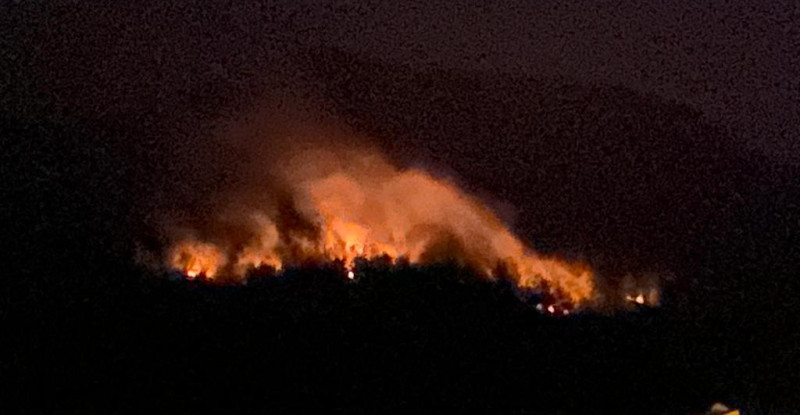 ADANA’NIN KOZAN İLÇESİNDE ÇIKAN ORMAN YANGINI KONTROL ALTINA ALINDI