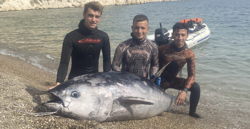 MERSİN’DE ZIPKINLA 150 KİLOGRAMLIK ORKİNOS AVLANDI