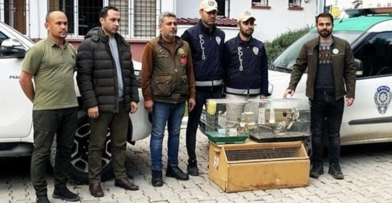 OSMANİYE’DE İSTİLACI KUŞ SATIŞI YAPAN İŞ YERİNİN SAHİBİNE 41 BİN 817 LİRA PARA CEZASI