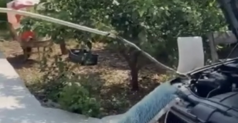 ADANA’DA OTOMOBİLİN MOTOR BÖLÜMÜNE GİREN YILANI İTFAİYE EKİPLERİ ÇIKARDI