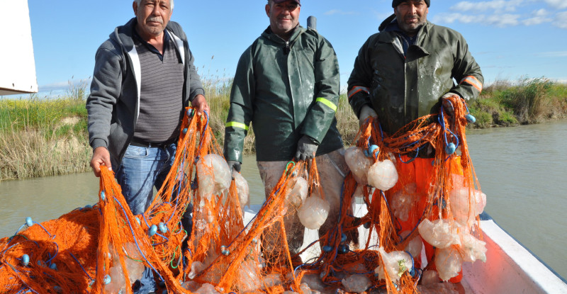 MERSİN’DE  DENİZE AÇILAN BALIKÇILARIN AĞLARI ÖLÜ GÖÇMEN DENİZANALARIYLA DOLDU…!