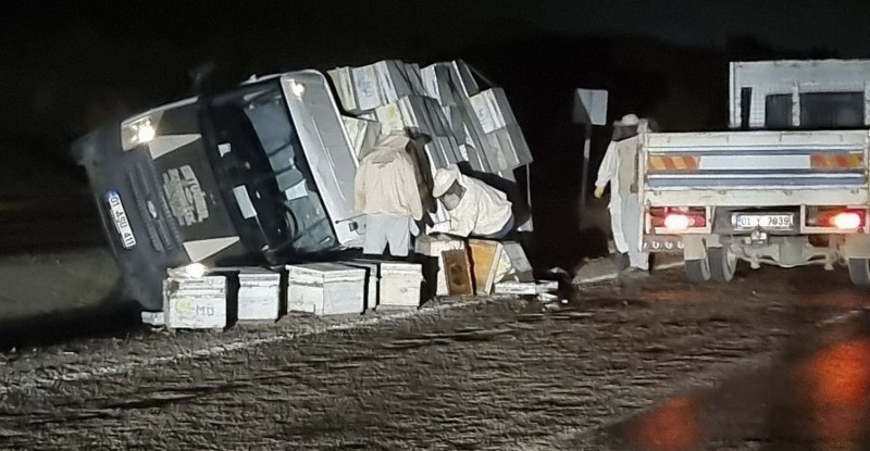 ADANA’DA DEVRİLEN ARI KOVANI YÜKLÜ KAMYONETİN SÜRÜCÜSÜ YARALANDI
