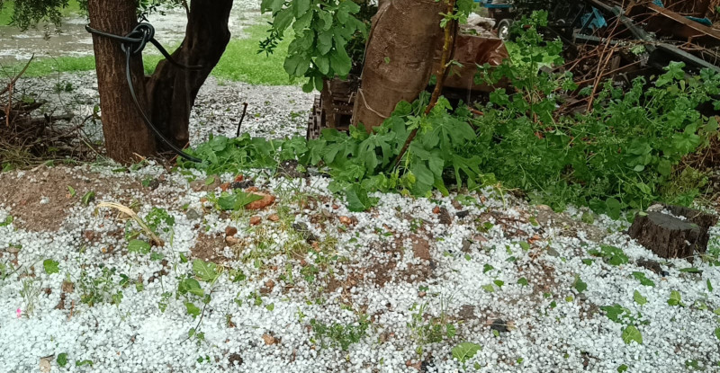 ADANA’DA ANİDEN BASTIRAN DOLU ETKİLİ OLDU