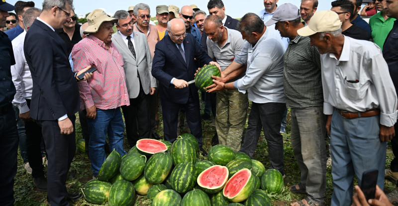 Adana’da sezonun ilk karpuz hasadı yapıldı