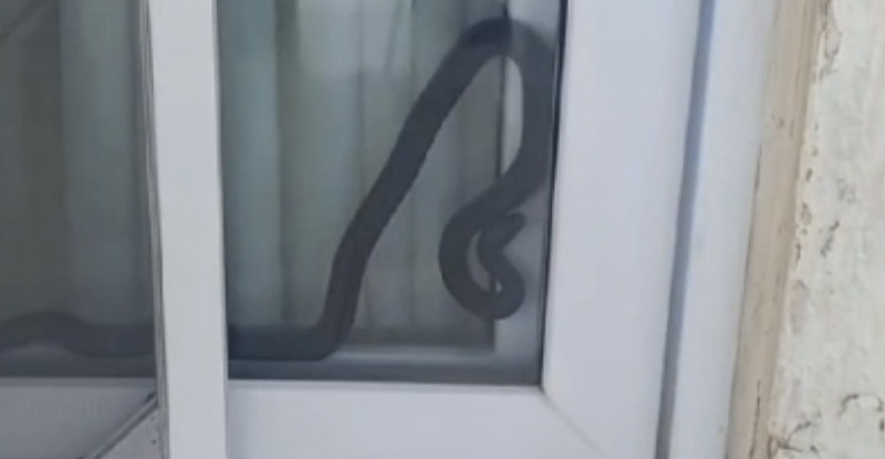 Adana’da bir banka şubesinin camını taşla kırıp kaçan 2 zanlı yakalandı